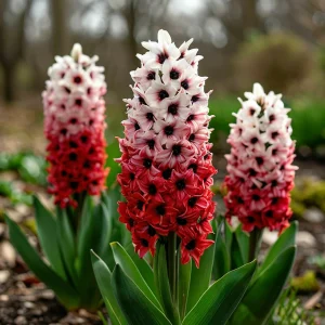 Гиацинт Скай Гарден купить по цене от 2099р. в интернет-магазине «Посадика» с доставкой почтой в в Ворсмае и по всей России – [изображение №1].